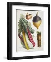 Various Vegetables Including Carrots, Onions, Swede and Chard-null-Framed Giclee Print