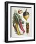 Various Vegetables Including Carrots, Onions, Swede and Chard-null-Framed Giclee Print