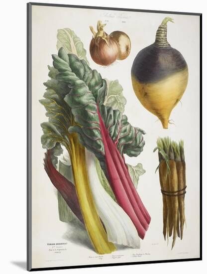 Various Vegetables Including Carrots, Onions, Swede and Chard-null-Mounted Giclee Print