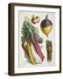 Various Vegetables Including Carrots, Onions, Swede and Chard-null-Framed Giclee Print