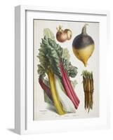 Various Vegetables Including Carrots, Onions, Swede and Chard-null-Framed Giclee Print