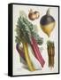 Various Vegetables Including Carrots, Onions, Swede and Chard-null-Framed Stretched Canvas