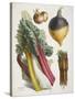 Various Vegetables Including Carrots, Onions, Swede and Chard-null-Stretched Canvas