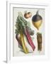 Various Vegetables Including Carrots, Onions, Swede and Chard-null-Framed Giclee Print