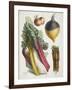 Various Vegetables Including Carrots, Onions, Swede and Chard-null-Framed Giclee Print