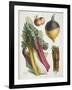 Various Vegetables Including Carrots, Onions, Swede and Chard-null-Framed Giclee Print