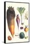 Various Vegetables-Philippe-Victoire Leveque de Vilmorin-Framed Stretched Canvas