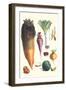 Various Vegetables-Philippe-Victoire Leveque de Vilmorin-Framed Art Print