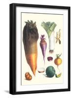 Various Vegetables-Philippe-Victoire Leveque de Vilmorin-Framed Art Print