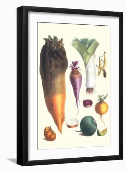 Various Vegetables-Philippe-Victoire Leveque de Vilmorin-Framed Art Print