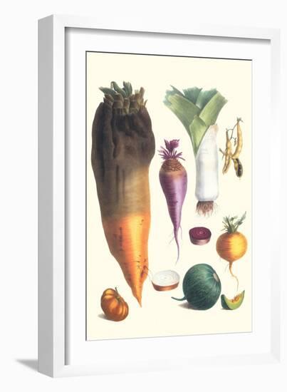 Various Vegetables-Philippe-Victoire Leveque de Vilmorin-Framed Art Print