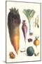Various Vegetables-Philippe-Victoire Leveque de Vilmorin-Mounted Art Print