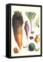 Various Vegetables-Philippe-Victoire Leveque de Vilmorin-Framed Stretched Canvas