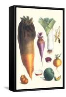 Various Vegetables-Philippe-Victoire Leveque de Vilmorin-Framed Stretched Canvas