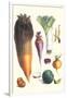 Various Vegetables-Philippe-Victoire Leveque de Vilmorin-Framed Art Print