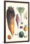 Various Vegetables-Philippe-Victoire Leveque de Vilmorin-Framed Art Print