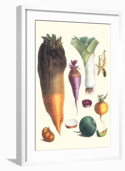 Various Vegetables-Philippe-Victoire Leveque de Vilmorin-Framed Art Print