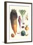 Various Vegetables-Philippe-Victoire Leveque de Vilmorin-Framed Art Print