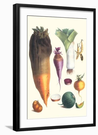 Various Vegetables-Philippe-Victoire Leveque de Vilmorin-Framed Art Print