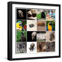 Various Wild Animals Composition-Aaron Amat-Framed Premium Photographic Print