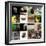 Various Wild Animals Composition-Aaron Amat-Framed Premium Photographic Print