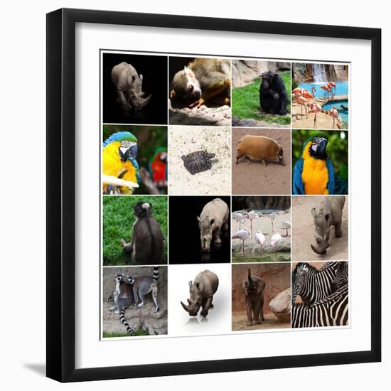 Various Wild Animals Composition-Aaron Amat-Framed Premium Photographic Print