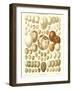 Varriety of Eggs-null-Framed Art Print