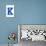 Varsity Letter K Make Your Own Banner Sign Poster-null-Poster displayed on a wall