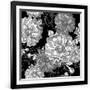 Gramercy Black