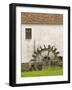 Vas Museum Village, Skansen, Western Transdanubia, Hungary-Walter Bibikow-Framed Photographic Print