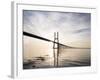 Vasco Da Gama Bridge over Rio Tejo (Tagus River) at Dawn, Lisbon, Portugal-Ben Pipe-Framed Photographic Print