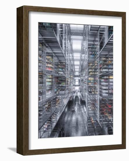 Vasconcelos 2-Moises Levy-Framed Giclee Print