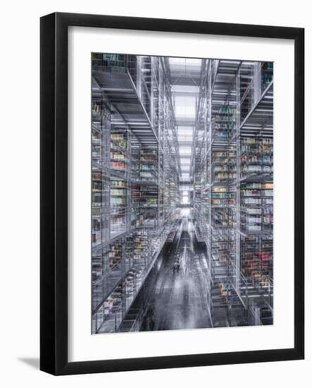 Vasconcelos 2-Moises Levy-Framed Giclee Print