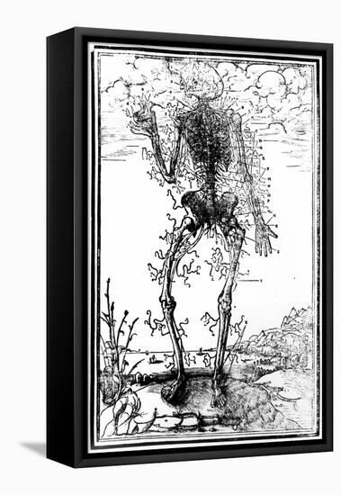 Vascular System of the Body-Andreas Vesalius-Framed Stretched Canvas