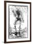 Vascular System of the Body-Andreas Vesalius-Framed Giclee Print