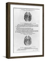 Vascular System of the Brain-Andreas Vesalius-Framed Giclee Print