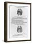 Vascular System of the Brain-Andreas Vesalius-Framed Giclee Print