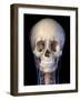 Vascular system of the human head on black background.-Leonello Calvetti-Framed Art Print