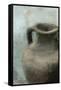 Vase 2-Kimberly Allen-Framed Stretched Canvas