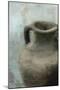 Vase 2-Kimberly Allen-Mounted Art Print