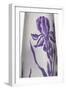 Vase à décor d'iris-null-Framed Giclee Print