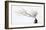 Vase And Branch-null-Framed Giclee Print