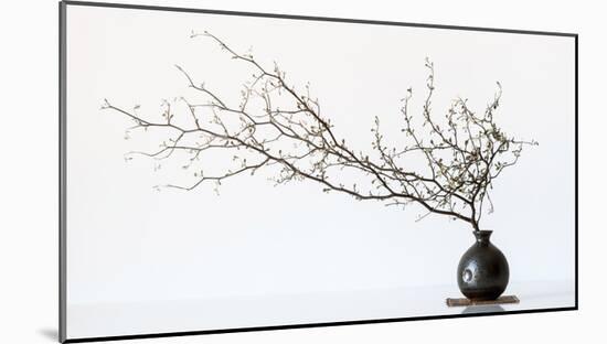 Vase And Branch-null-Mounted Giclee Print