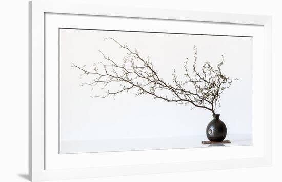 Vase And Branch-null-Framed Giclee Print