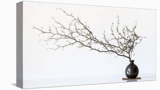 Vase And Branch-null-Stretched Canvas