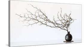 Vase And Branch-null-Stretched Canvas