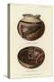 Vase and Food Bowl from Chevlon, Arizona-null-Stretched Canvas