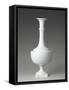 Vase blanc forme bouteille tord-null-Framed Stretched Canvas