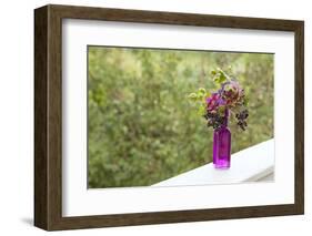 Vase, Bunch, Berries, Hop Blossoms, Flowers, Autumn-Andrea Haase-Framed Photographic Print