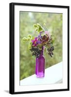 Vase, Bunch, Berries, Hop Blossoms, Flowers, Autumn-Andrea Haase-Framed Photographic Print